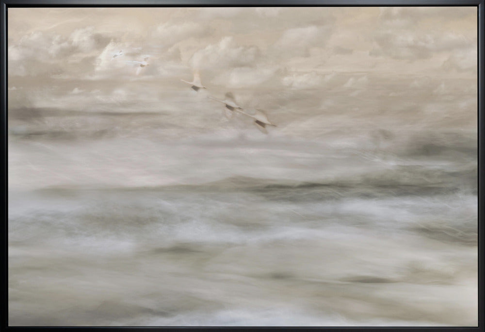 Wall art Swans over sea